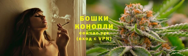 PSILOCYBIN Беломорск