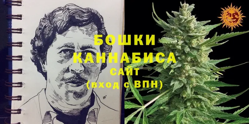 купить наркотик  Всеволожск  kraken как зайти  Канабис OG Kush 